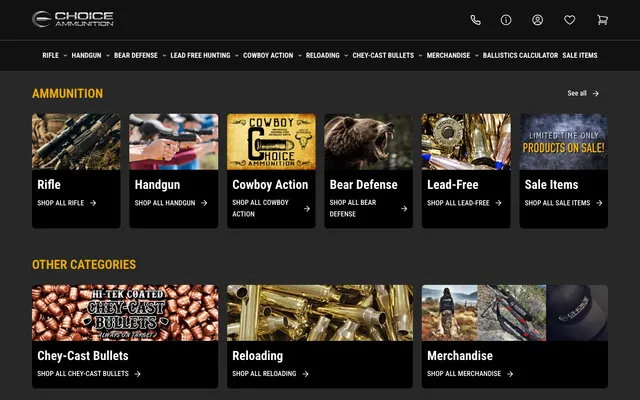 Screenshot of Choice Ammunition